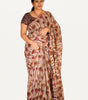 Kalamkari Mul Mul Special Cotton Saree