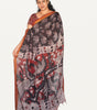 Kalamkari  Nizam Boarder Silk Saree